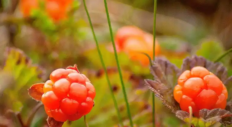 Holiday home in Åre N
