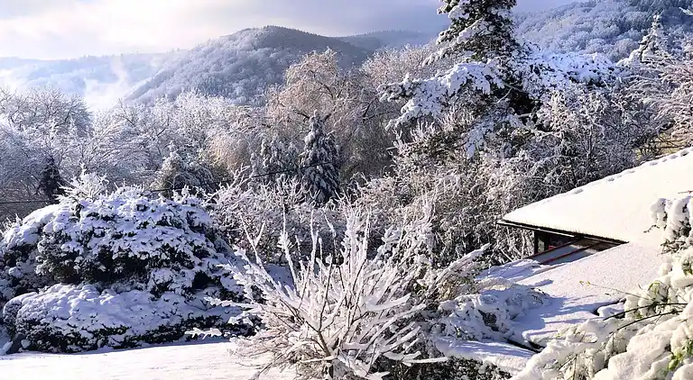 Chalet in Sougné-Remouchamps