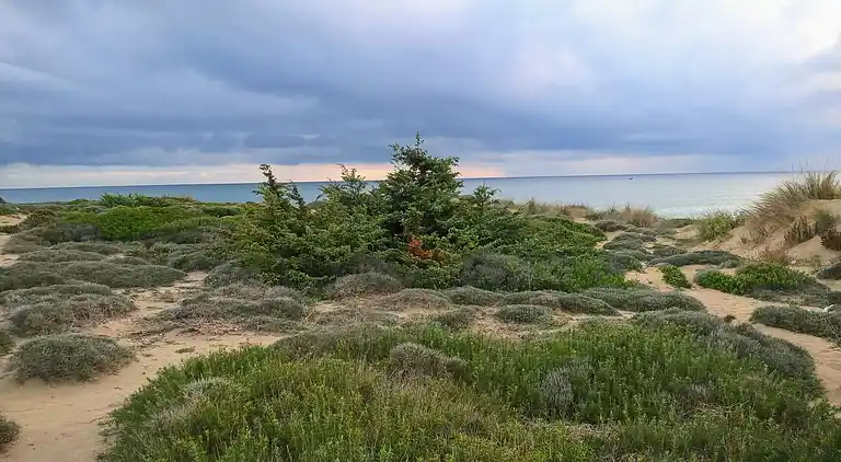 le dune del marchese. ARI