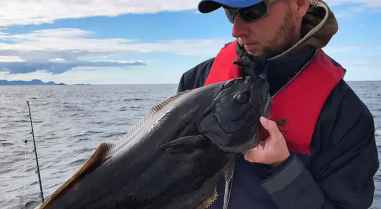 Holiday home in Sifjord