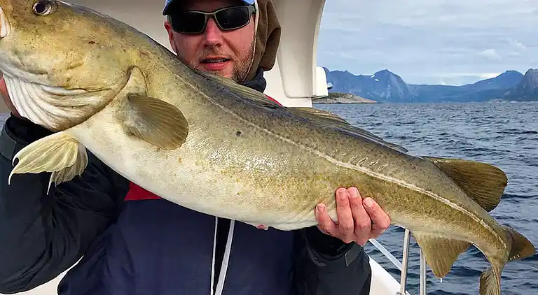 Holiday home in Sifjord