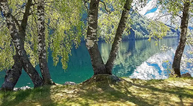 Vakantiehuis in Hjelle