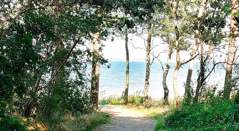 Ferienhaus in Roslev