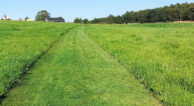 Ferienhaus in Roslev