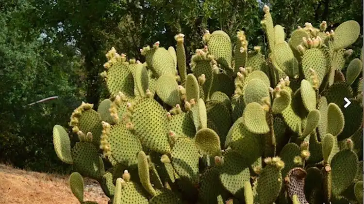 Villa in Saint-Maximin-la-Sainte-Baume