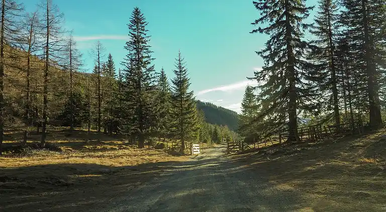 Hytte i Sankt Oswald