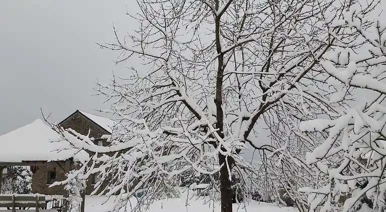 Holiday home in Stoumont