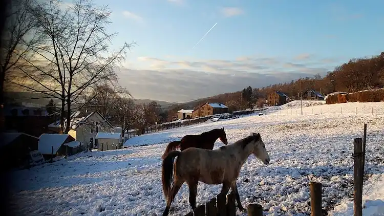 Holiday home in Stoumont