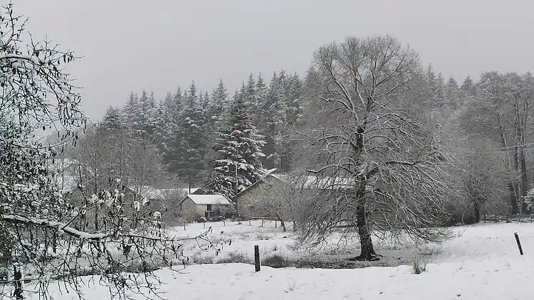 Holiday home in Vielsalm