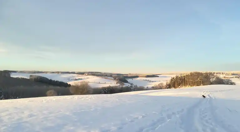 Holiday home in Reuth