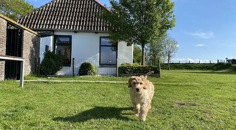 Semesterbostad i Warns