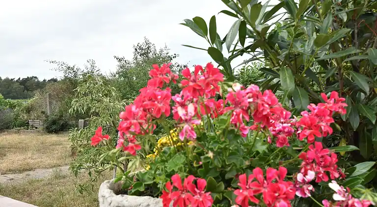 Bungalow in Nakenstorf