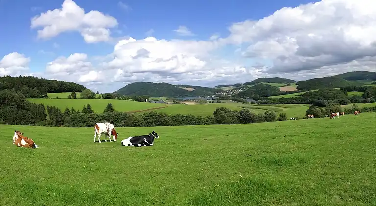 Apartment in Freienhagen