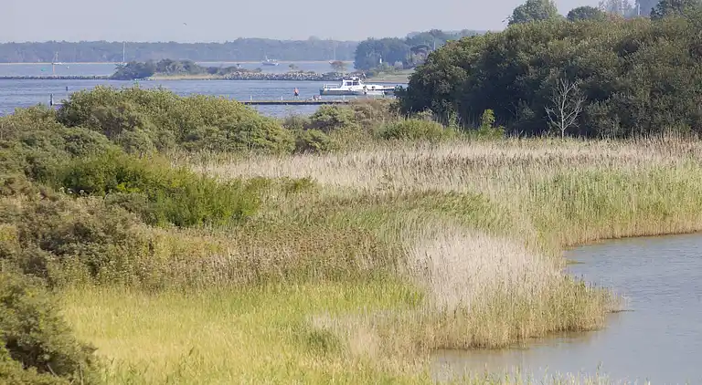 Villa in Oranjeplaat