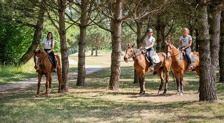 Ferielejlighed i Isola Albarella