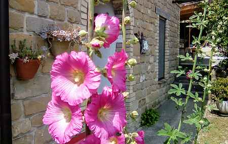 Appartement mh80141