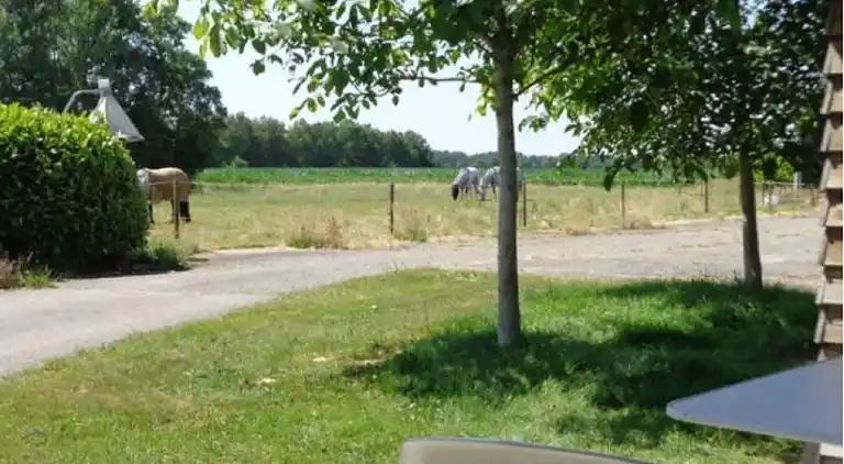 Gårdshus i Fochteloo