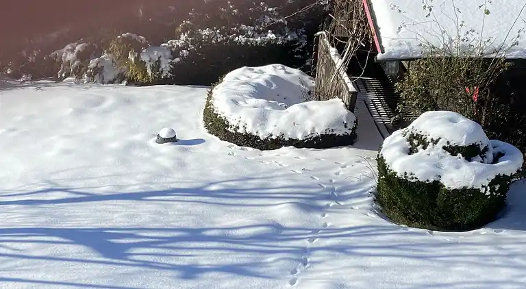 Holiday home in Elpe