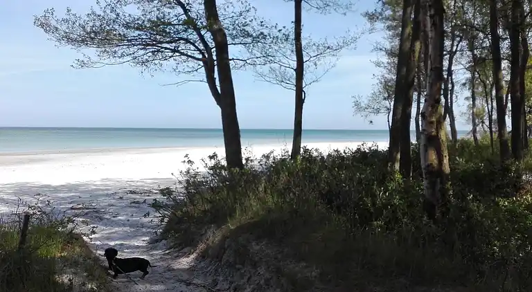 Gemütliches Ferienhaus auf Sydbornholm