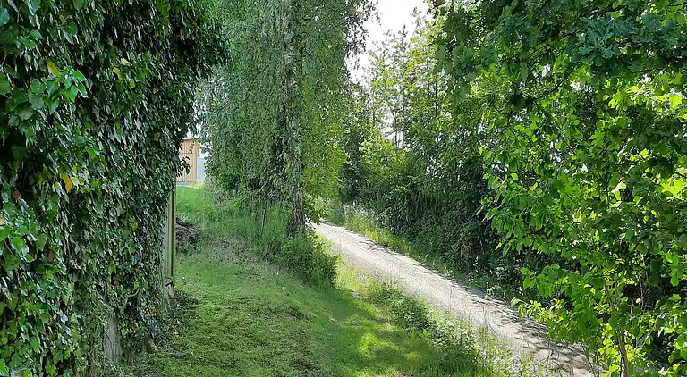 Holiday home in Neunburg