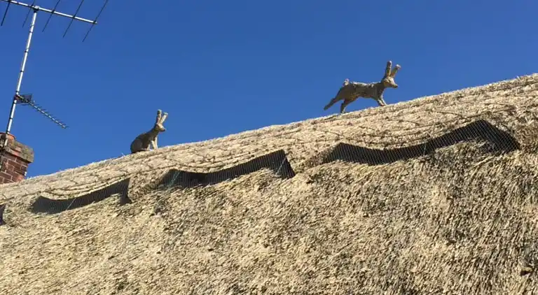 Holiday home in Denston