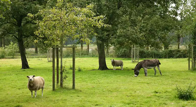 Holiday home in Beernem