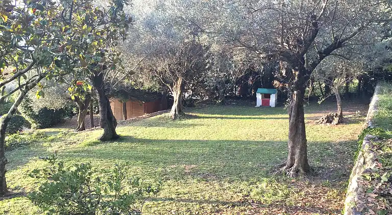 Villa in Grasse