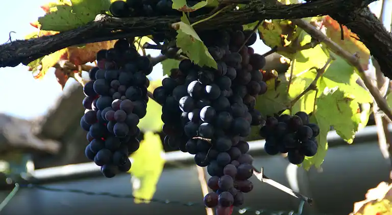 Casa de vacaciones en Die