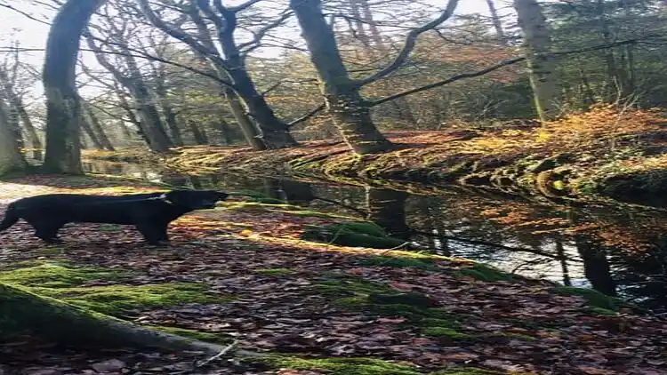 Holiday home in Rijs