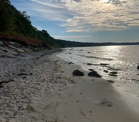 Natursmukt sommerhus nær vandet
