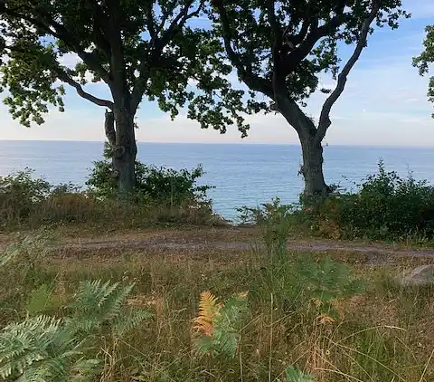Natursmukt sommerhus nær vandet