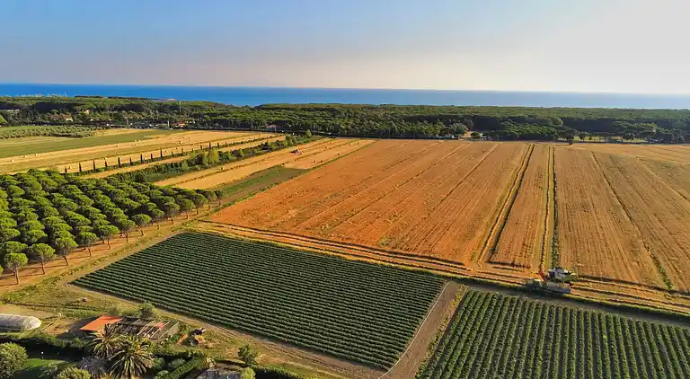 FIRST FLOOR ONE BEDROOM APARTMENT