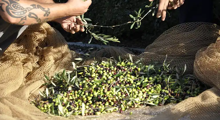 FIRST FLOOR ONE BEDROOM APARTMENT