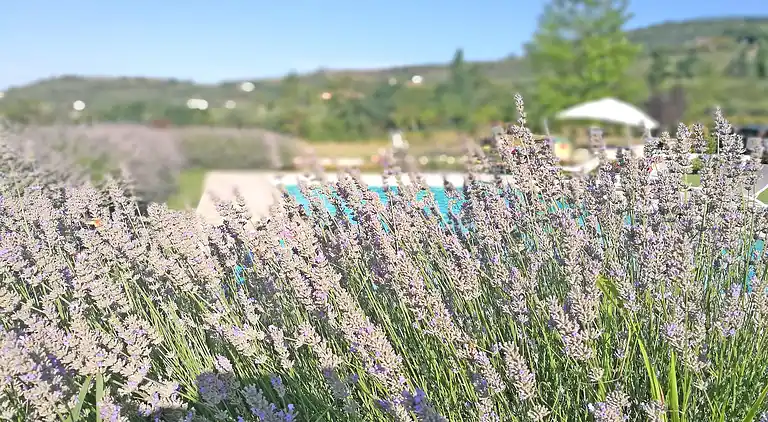 Villa i Castiglion Fiorentino