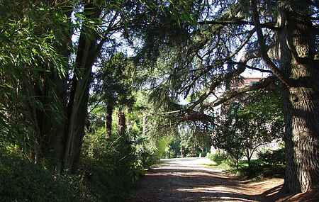 Villa i Treja
