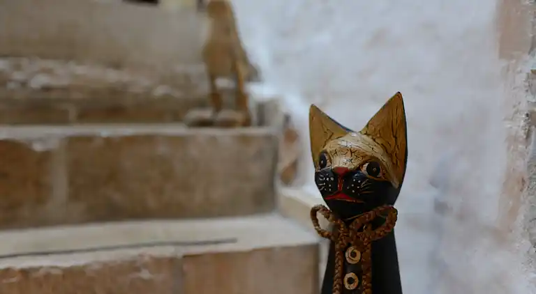 Beautiful Istrian stone house with private pool and garden 