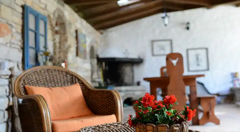 Beautiful Istrian stone house with private pool and garden 