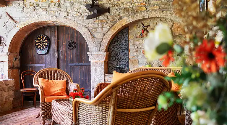 Beautiful Istrian stone house with private pool and garden 