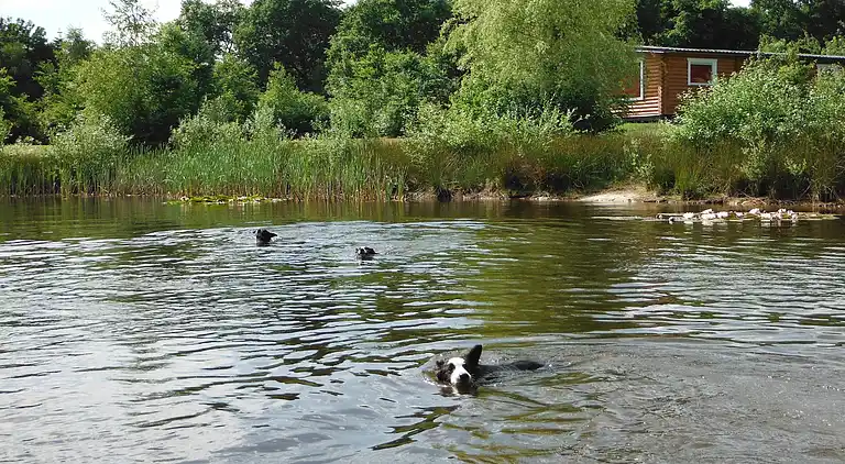 Holiday home in Hoge Hexel