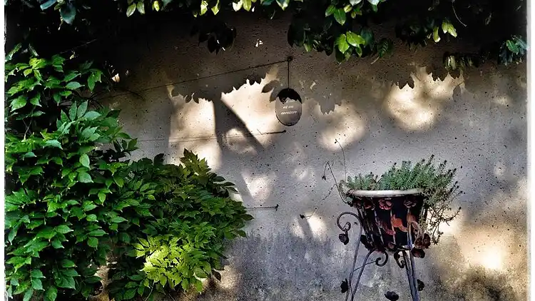 Holiday home in Saint-Sauveur-de-Cruzières