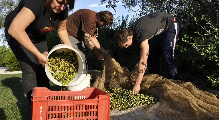 GROUND FLOOR ONE BEDROOM  APARTMENT