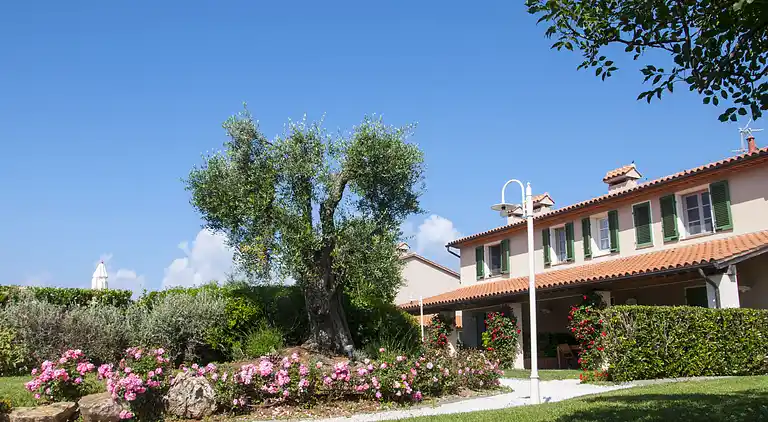   Stue etage lejlighed, ét soveværelse