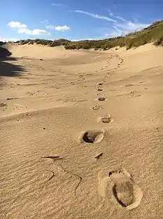 Sommerhus på Anholt ud til stort naturområde