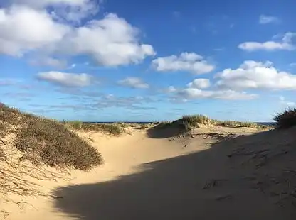 Sommerhus på Anholt ud til stort naturområde