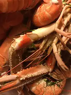 Sommerhus på Anholt ud til stort naturområde