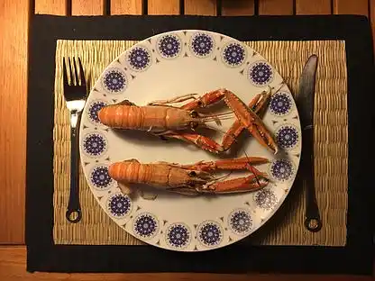 Sommerhus på Anholt ud til stort naturområde