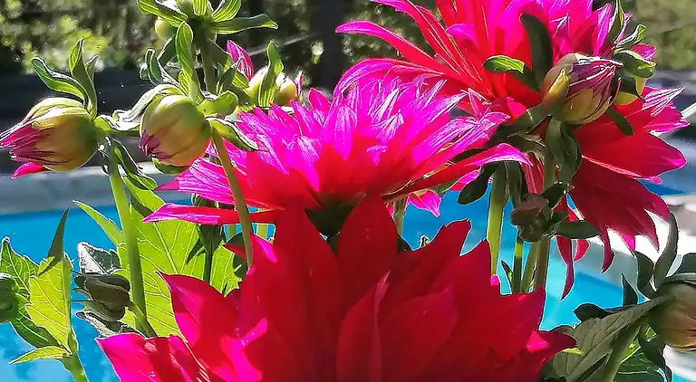 Sommerhus i Timrå SO