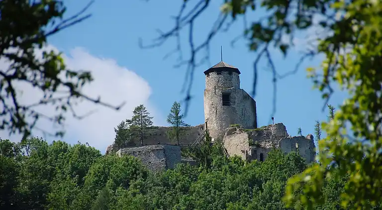 Bungalow in Kaumberg