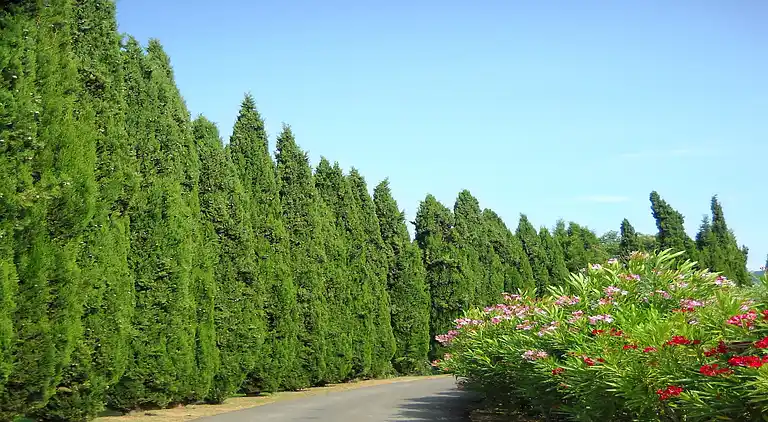 Holiday home in Castelnuovo di Val di Cecina