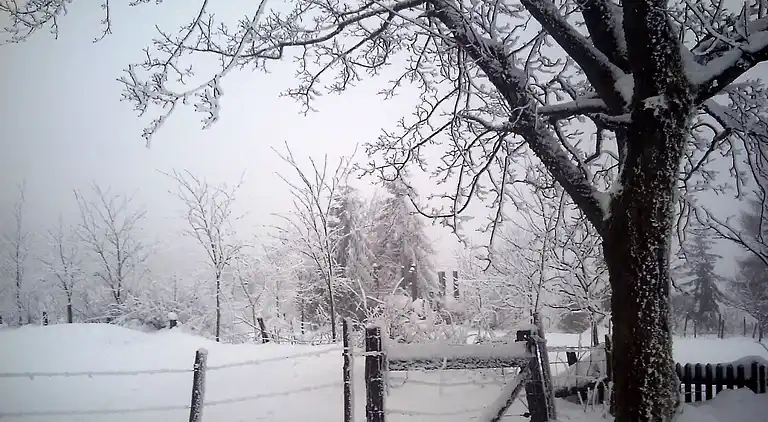 Apartment in Menkhausen